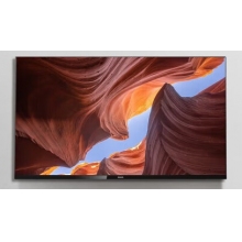 飛利浦顯示設備